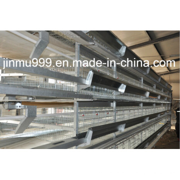 H Type Chicken Cage System Jinfeng